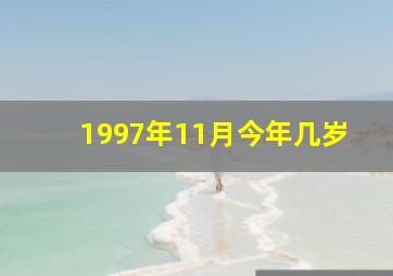 1997年11月今年几岁