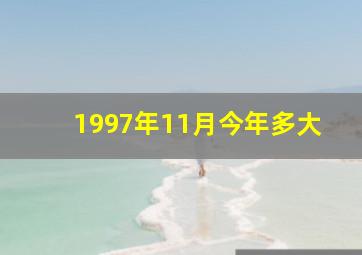 1997年11月今年多大