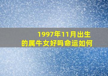 1997年11月出生的属牛女好吗命运如何