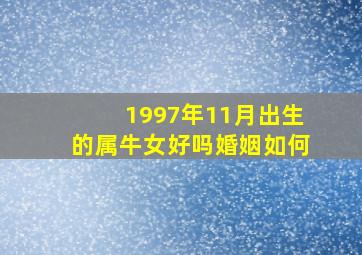 1997年11月出生的属牛女好吗婚姻如何