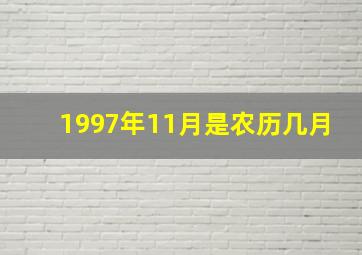 1997年11月是农历几月