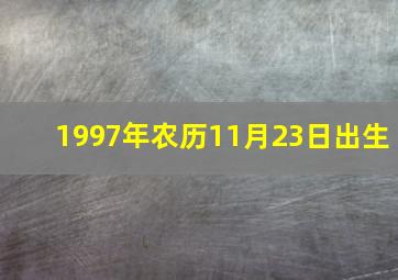 1997年农历11月23日出生