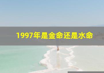 1997年是金命还是水命