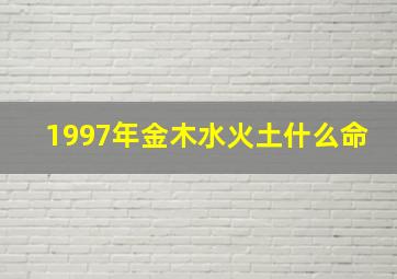 1997年金木水火土什么命