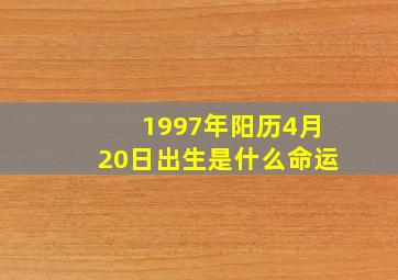 1997年阳历4月20日出生是什么命运