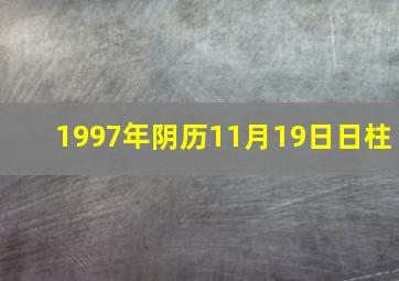 1997年阴历11月19日日柱