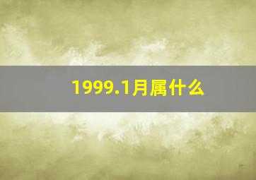 1999.1月属什么