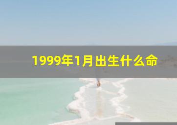 1999年1月出生什么命