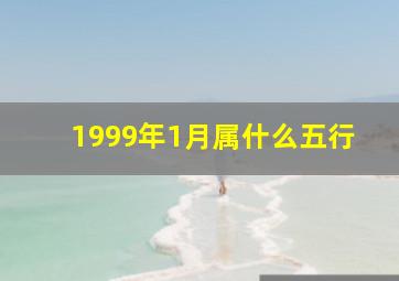 1999年1月属什么五行