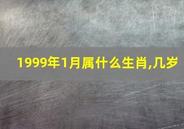 1999年1月属什么生肖,几岁