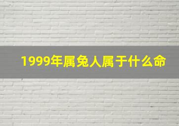 1999年属兔人属于什么命