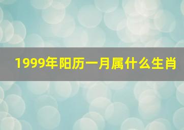 1999年阳历一月属什么生肖