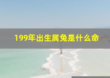 199年出生属兔是什么命