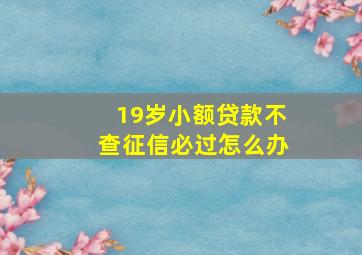 19岁小额贷款不查征信必过怎么办