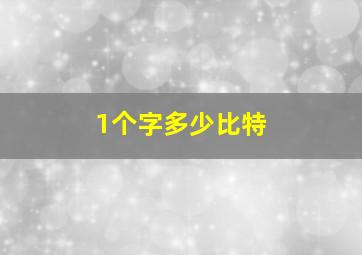 1个字多少比特