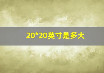 20*20英寸是多大