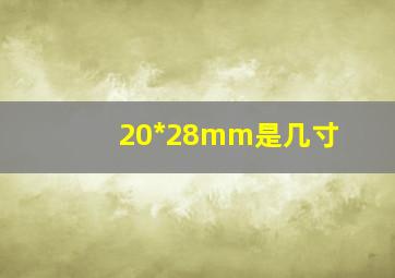 20*28mm是几寸