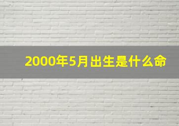 2000年5月出生是什么命