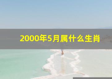 2000年5月属什么生肖