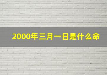 2000年三月一日是什么命