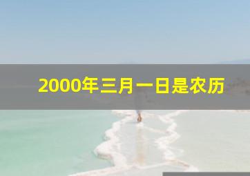 2000年三月一日是农历