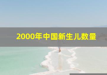 2000年中国新生儿数量