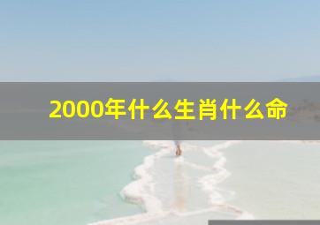 2000年什么生肖什么命