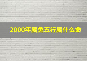 2000年属兔五行属什么命