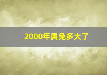 2000年属兔多大了