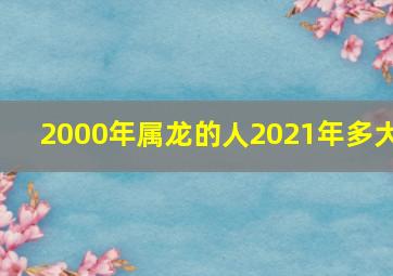 2000年属龙的人2021年多大