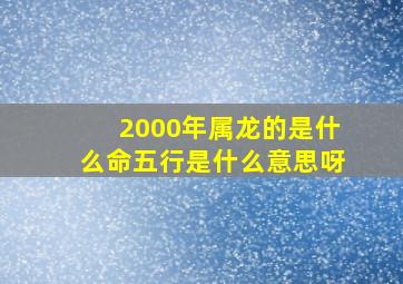 2000年属龙的是什么命五行是什么意思呀