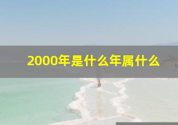 2000年是什么年属什么