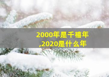 2000年是千禧年,2020是什么年