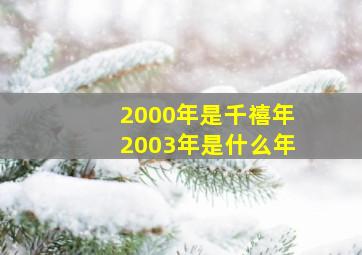 2000年是千禧年2003年是什么年