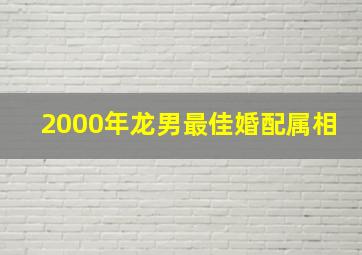 2000年龙男最佳婚配属相