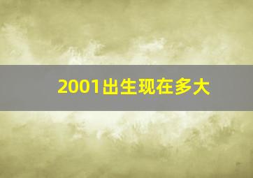 2001出生现在多大