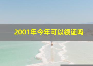 2001年今年可以领证吗