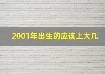 2001年出生的应该上大几