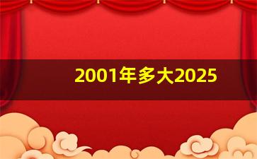 2001年多大2025