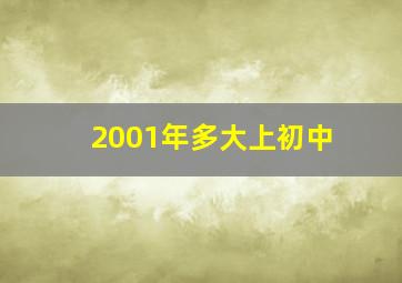 2001年多大上初中