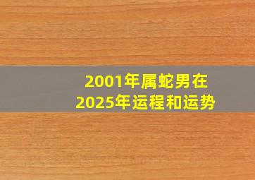 2001年属蛇男在2025年运程和运势