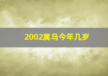 2002属马今年几岁