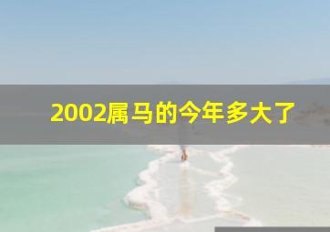 2002属马的今年多大了