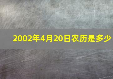 2002年4月20日农历是多少