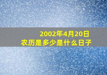 2002年4月20日农历是多少是什么日子