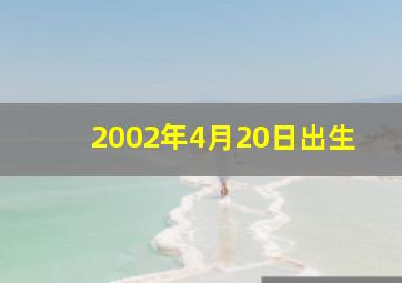 2002年4月20日出生