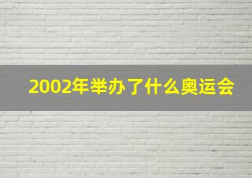 2002年举办了什么奥运会