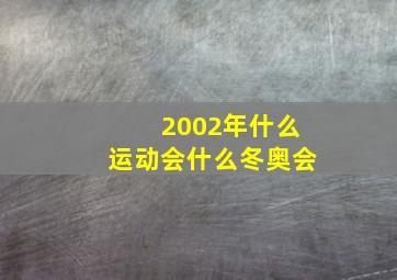 2002年什么运动会什么冬奥会