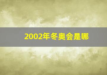 2002年冬奥会是哪