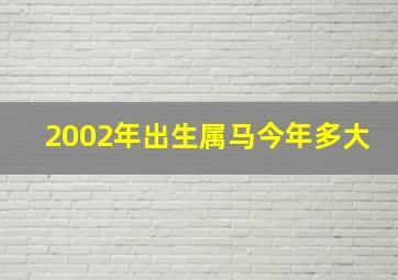 2002年出生属马今年多大